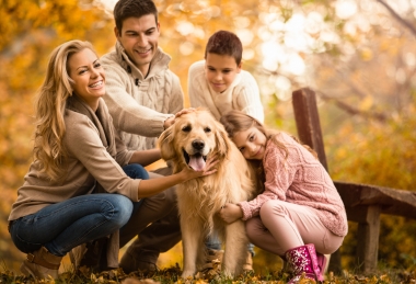 Lővér élmény Lővér élmény