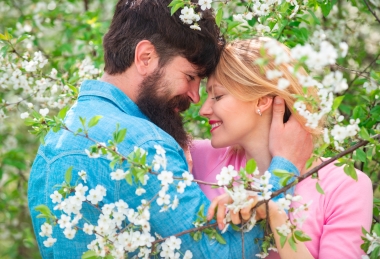 Online offer with half board 