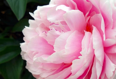 Pentecost recharge in Balatonfüred Akadémia Hotel